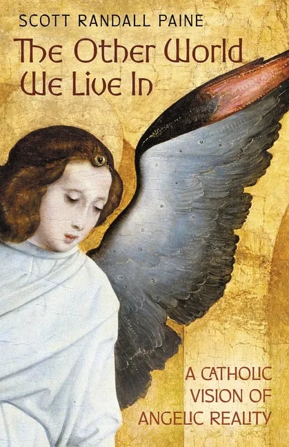 The Other World We Live In: A Catholic Vision of Angelic Reality - Paperback