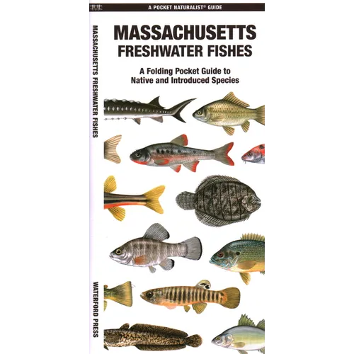 Massachusetts Freshwater Fishes - Paperback