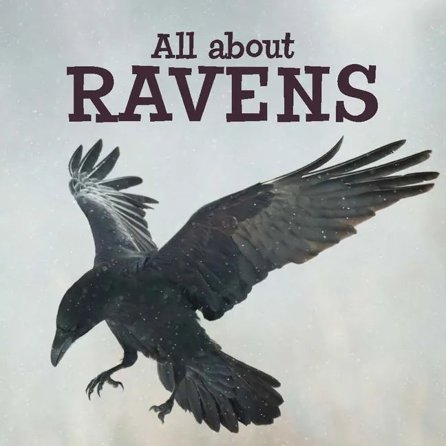 All about Ravens: English Edition - Paperback