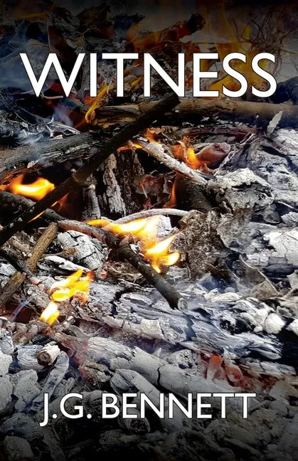 Witness: The Story of a Search - Paperback