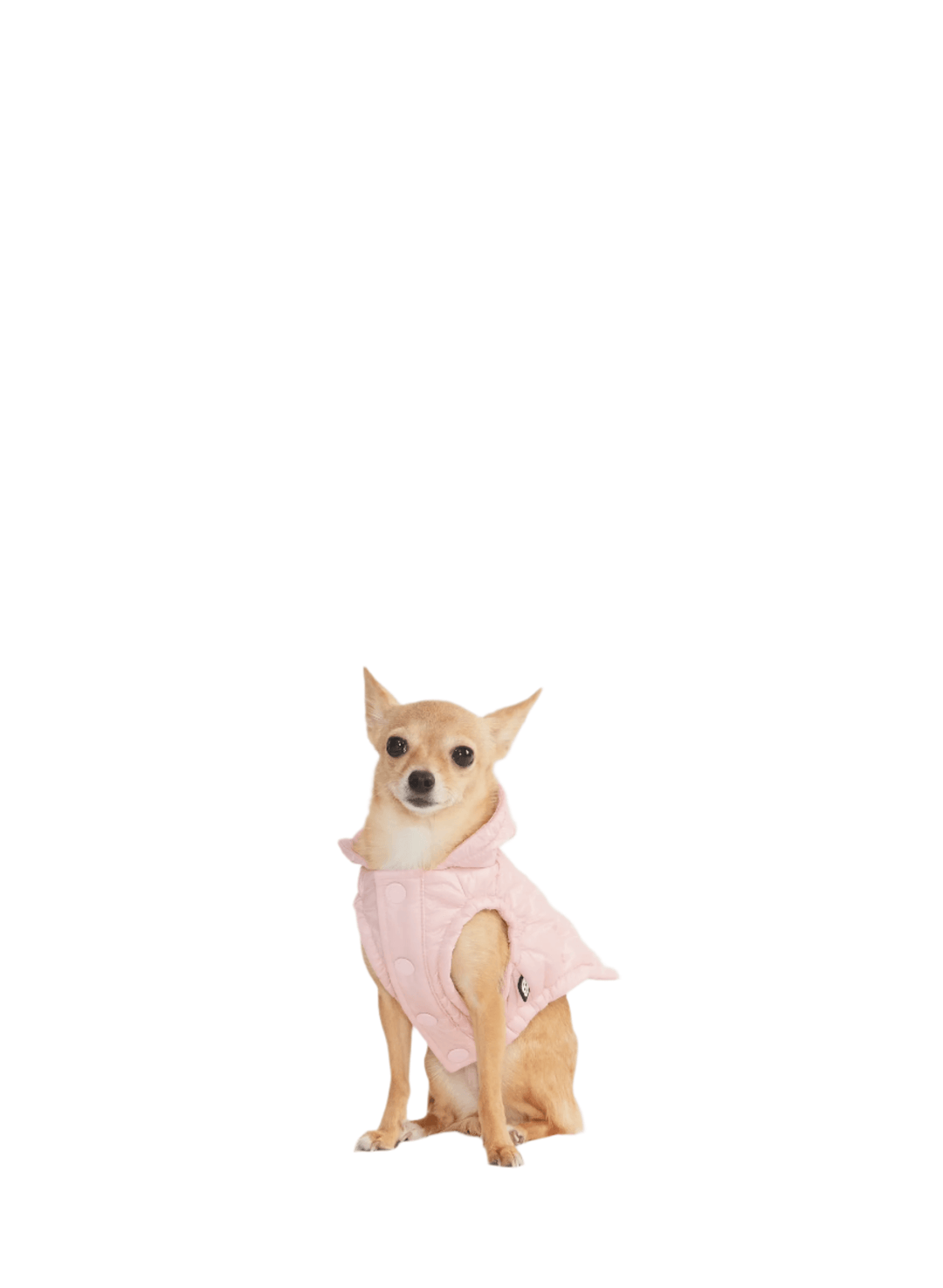 Aritzia The Super Ruff Puff (Dog Jacket) Hi-Gloss | Chalk Pink