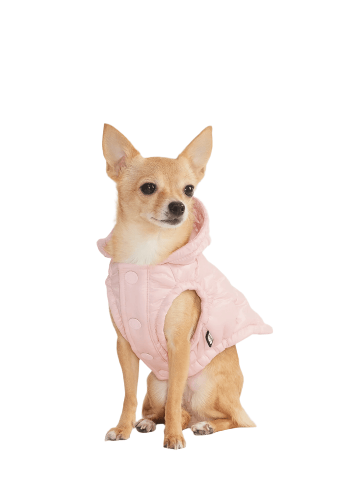 Aritzia The Super Ruff Puff (Dog Jacket) Hi-Gloss | Chalk Pink