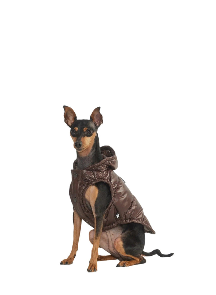 Aritzia The Super Ruff Puff (Dog Jacket) Hi-Gloss | Rich Mocha Brown