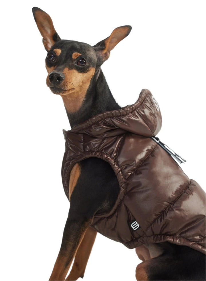 Aritzia The Super Ruff Puff (Dog Jacket) Hi-Gloss | Rich Mocha Brown