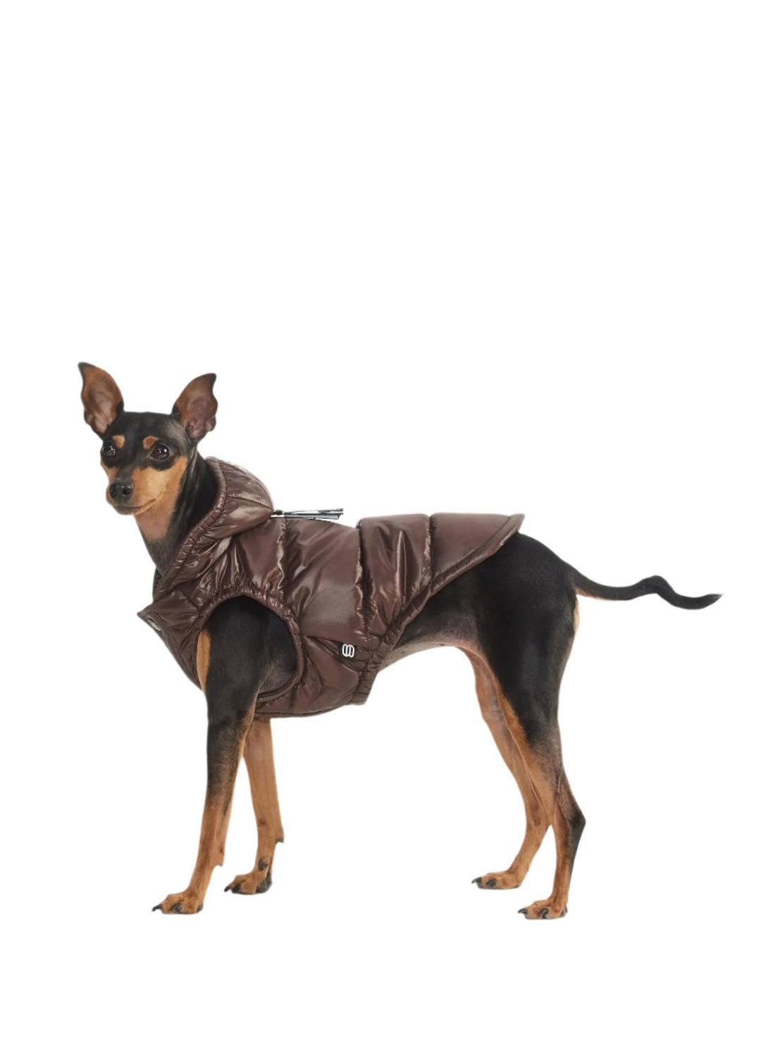 Aritzia The Super Ruff Puff (Dog Jacket) Hi-Gloss | Rich Mocha Brown