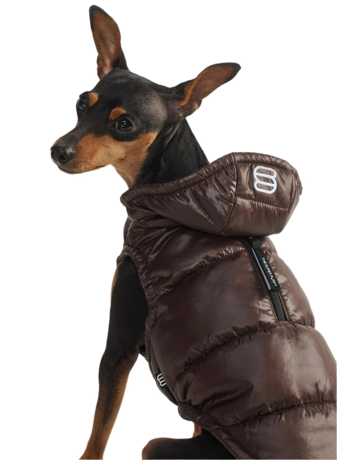 Aritzia The Super Ruff Puff (Dog Jacket) Hi-Gloss | Rich Mocha Brown