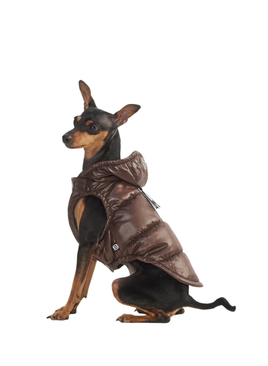 Aritzia The Super Ruff Puff (Dog Jacket) Hi-Gloss | Rich Mocha Brown