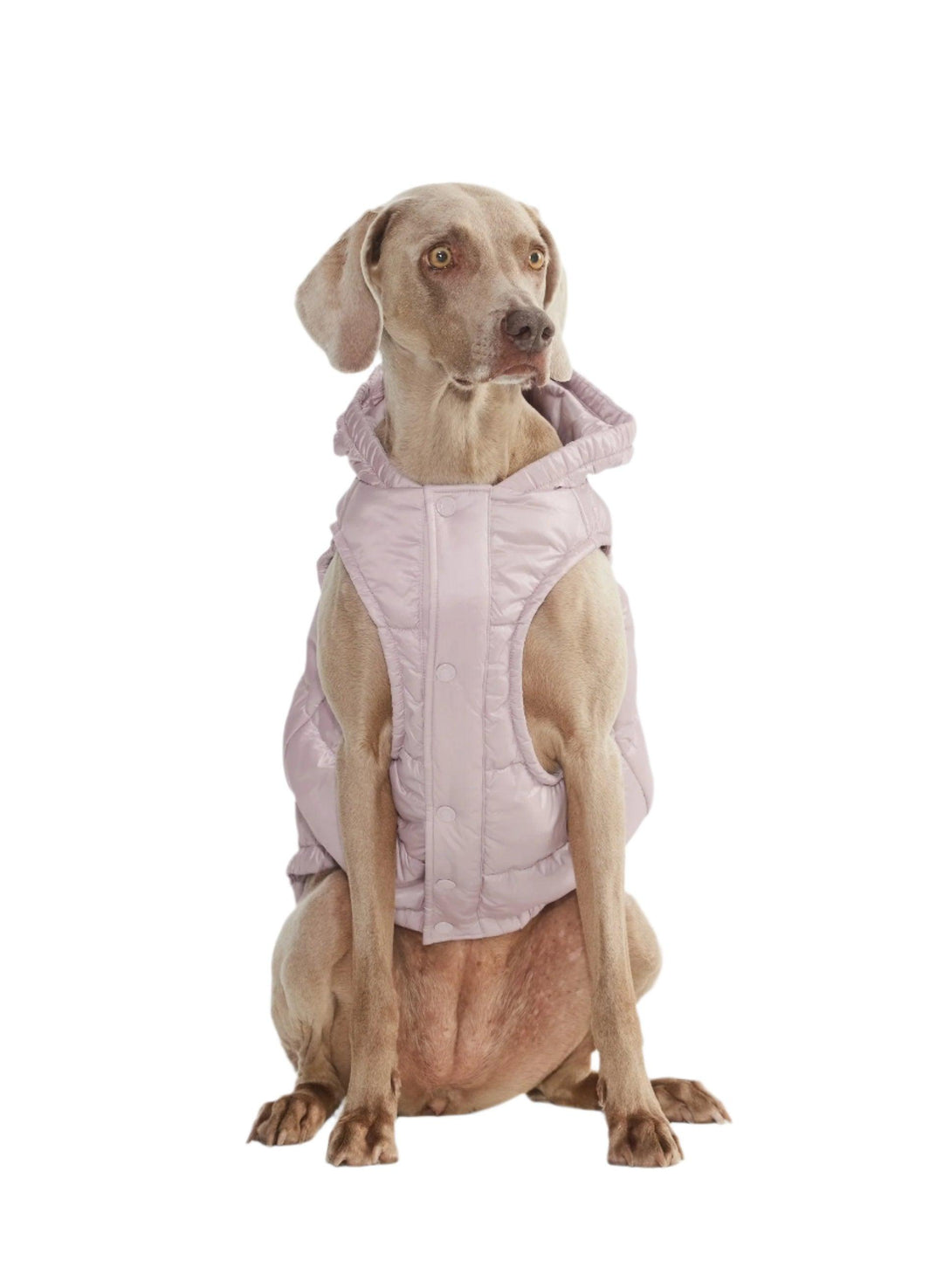 Aritzia The Super Ruff Puff (Dog Jacket) Hi-Gloss | Cloudy Lilac