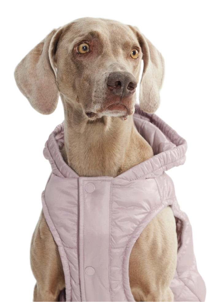 Aritzia The Super Ruff Puff (Dog Jacket) Hi-Gloss | Cloudy Lilac