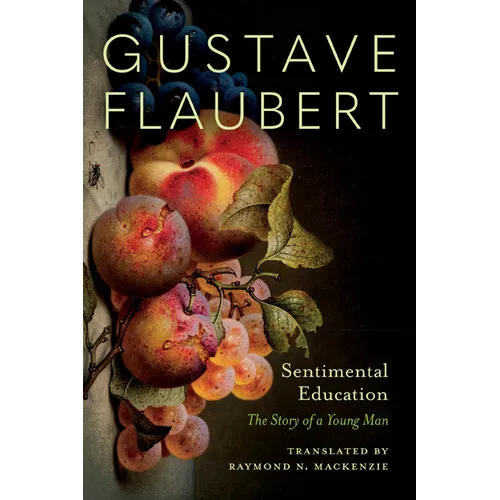Sentimental Education: The Story of a Young Man - Paperback