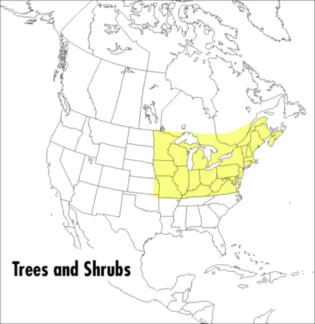 A Field Guide to Trees and Shrubs: Northeastern and North-Central United States and Southeastern and South-Central Canada - Paperback