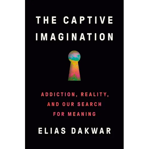 The Captive Imagination: Addiction, Reality, and Our Search for Meaning - Hardcover