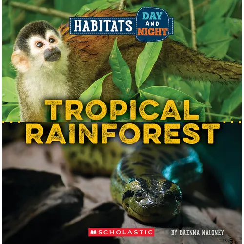 Tropical Rainforest (Wild World: Habitats Day and Night) - Paperback