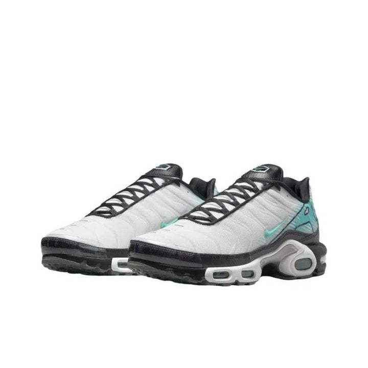Nike Air Max Plus &
