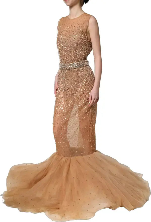Dolce & Gabbana Crystal-Embellished Mermaid Gown – Brown | Women’s Evening Dress