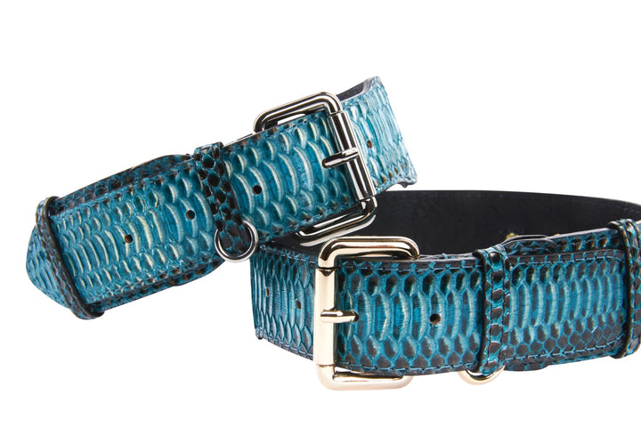 Turquoise, Black Snake Classic Collar With Silver &amp; Gold Classic Hardware Set Of 2