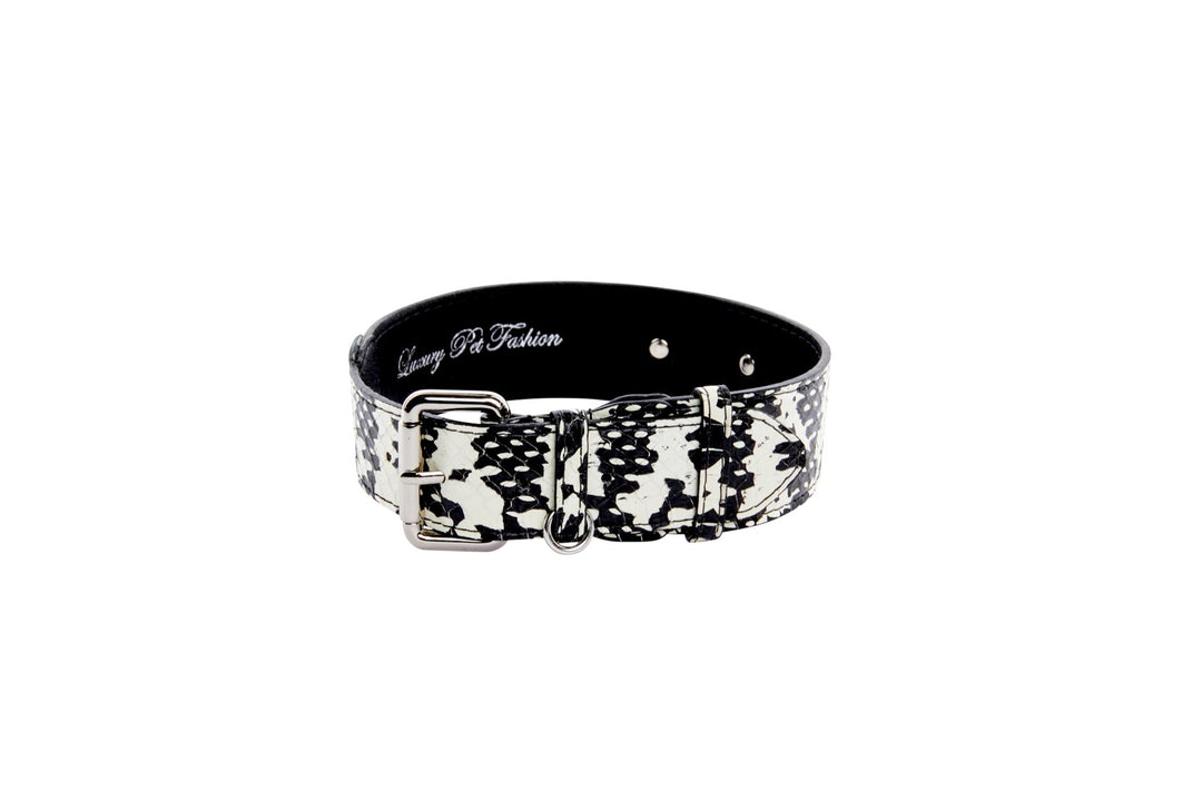 Black &amp; White Snake/Classic Collar With Silver Hardware