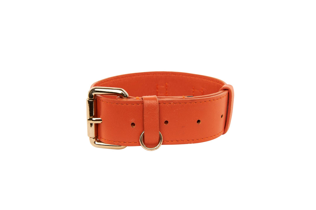 Small Orange Italian Leather Classic Collar
