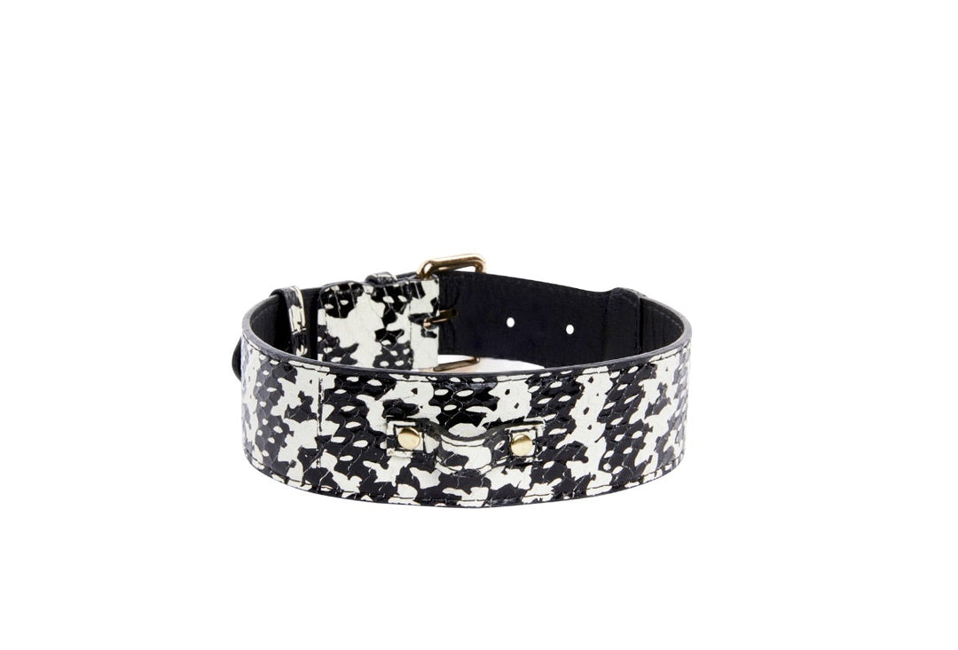 Black &amp; White Snake Collar With Classic Gold Hardware