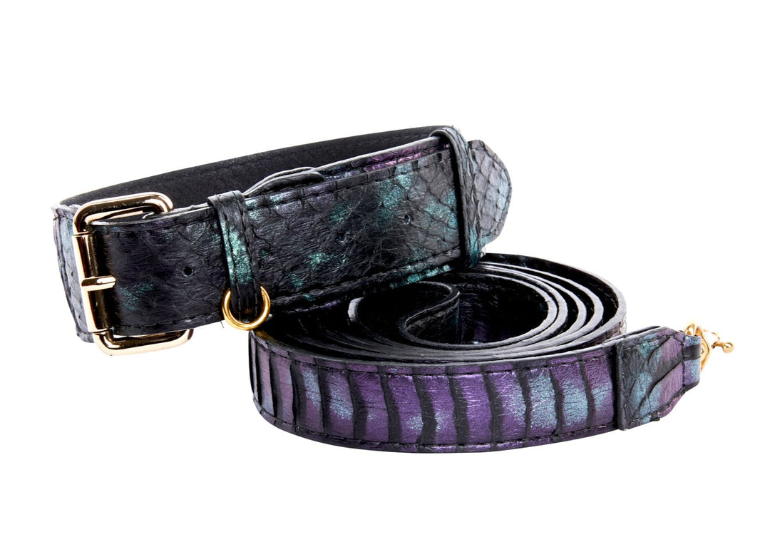 Black, Green, Purple Snake Classic Collar &amp; Leash Set