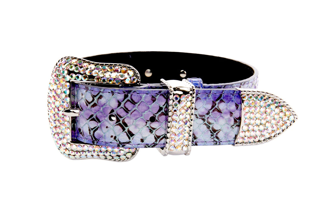 Purple/Silver/Black Custom Iridescent Snake/Swarovski Crystal Collar &amp; Leash Set