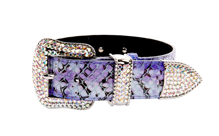 Purple/Silver/Black Custom Iridescent Snake/Swarovski Crystal Collar &amp; Leash Set