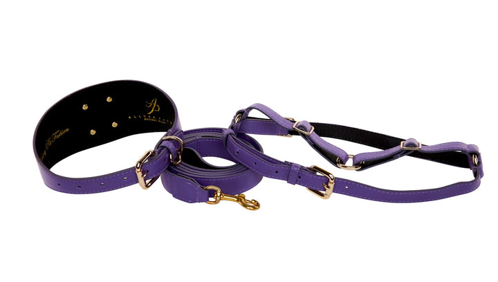 Purple Italian Leather 3” Wide Style Collar, With Custom Large Gold Rivet, Leash &amp; Harness Set