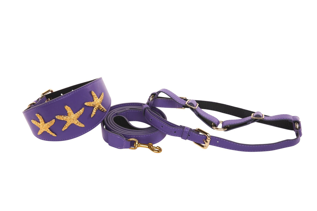 Purple Italian Leather 3” Wide Style Collar, With Custom Gold Starfish, Leash &amp; Harness Set