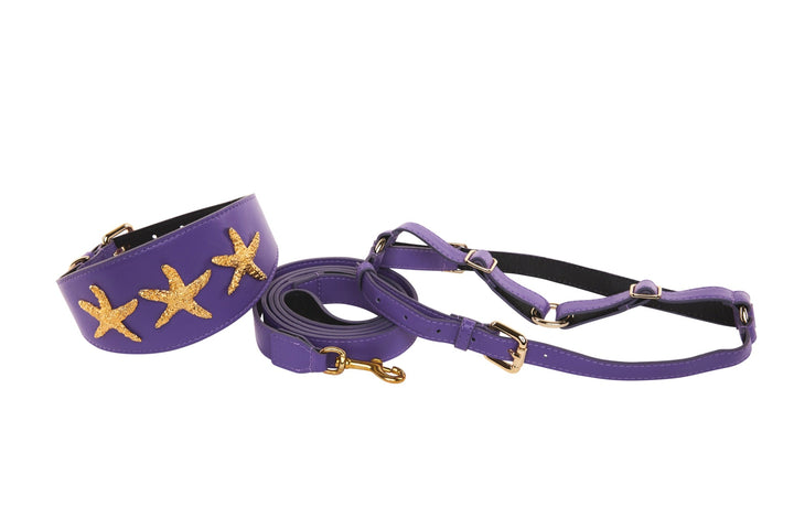 Purple Italian Leather 3” Wide Style Collar, With Custom Gold Starfish, Leash &amp; Harness Set