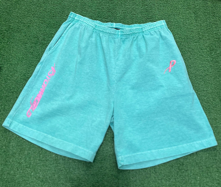 Psychworld Teal Canvas Shorts Pink Logo
