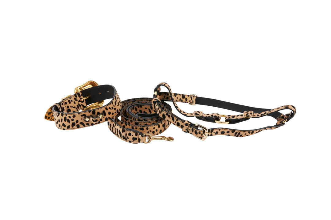 Classic Leopard Print Hair On Hide Italian Leather Swarovski Crystal Collar, Leash &amp; Harness Set