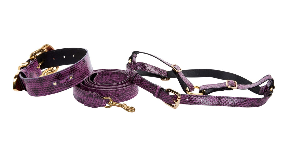 Purple &amp; Black Viper Snake Swarovski Collar, Leash, Harness Set