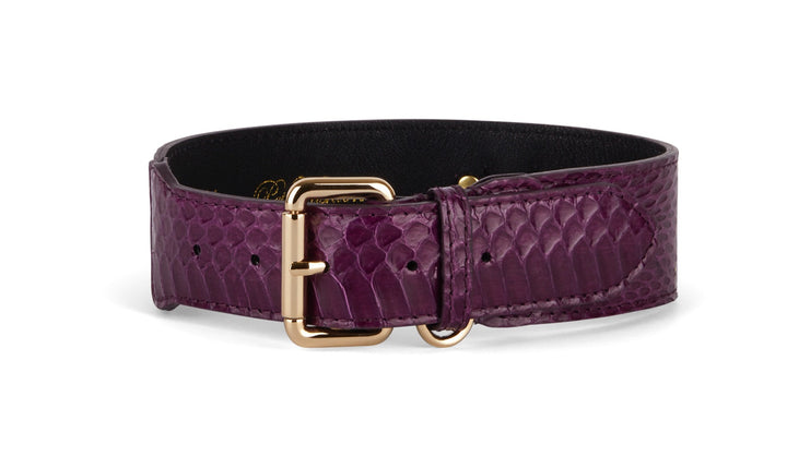 Eggplant Purple Snake Classic Collar