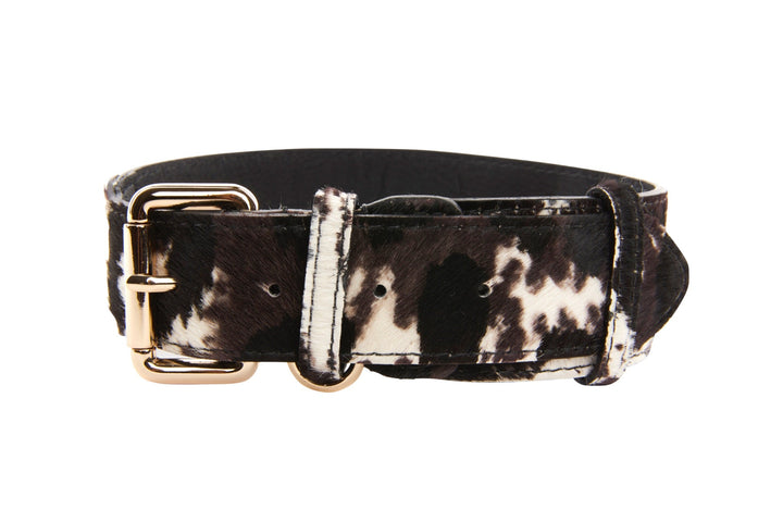 Brown, Black &amp; White Hair On Hide Collar With Classic Gold Hardware