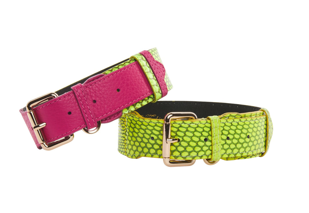 Fuchsia Pink Italian/Neon Green Snake Classic Collar &amp; Neon Green Snake Classic Collar Set Of 2