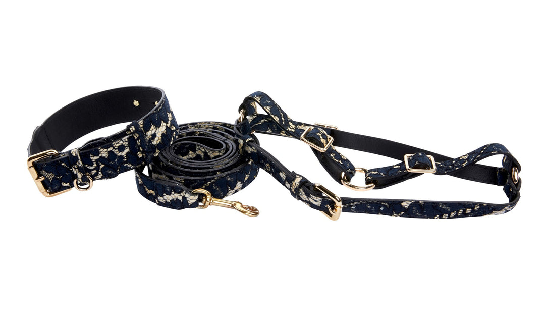 Dark Navy Lace On Gold Italian Leather Classic Collar, Leash &amp; Harness Set