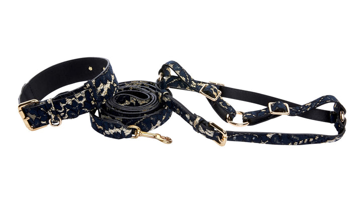 Dark Navy Lace On Gold Italian Leather Classic Collar, Leash &amp; Harness Set