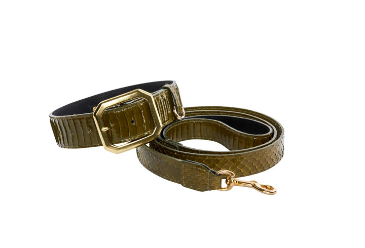 Olive Green Snake Collar &amp; Leash Set