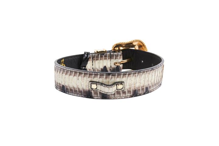 Off White/Black Snake With Gold Swarovski Crystal Hardware Collar &amp; Leash Set