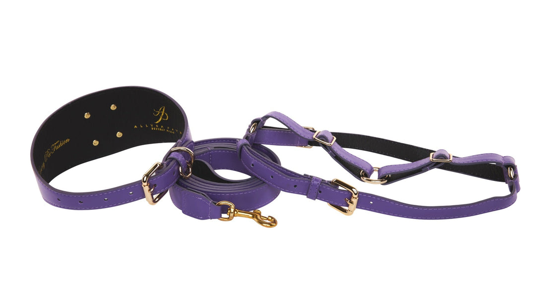 Purple Italian Leather 3” Wide Style Collar, With Custom Gold Starfish, Leash &amp; Harness Set