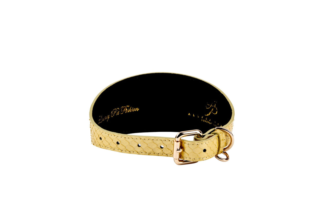 Pearl Yellow Snake With Vintage Gold &amp; Navy Rivets. 3” Wide Style Collar