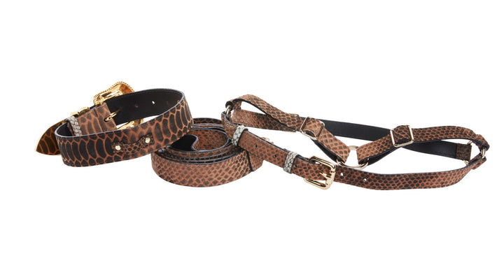 Brown/Black Embossed Snake Italian Leather Collar With Swarovski Crystal Hardware Leash &amp; Harness Set