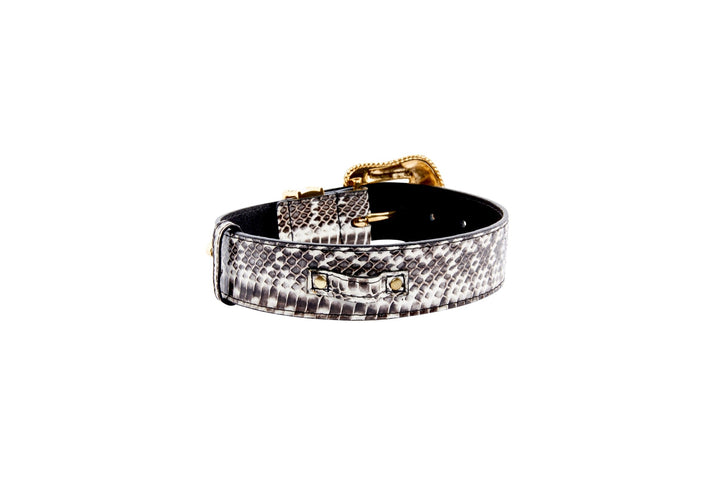 Black &amp; White Viper Snake Collar With Gold Swarovski Crystal Hardware