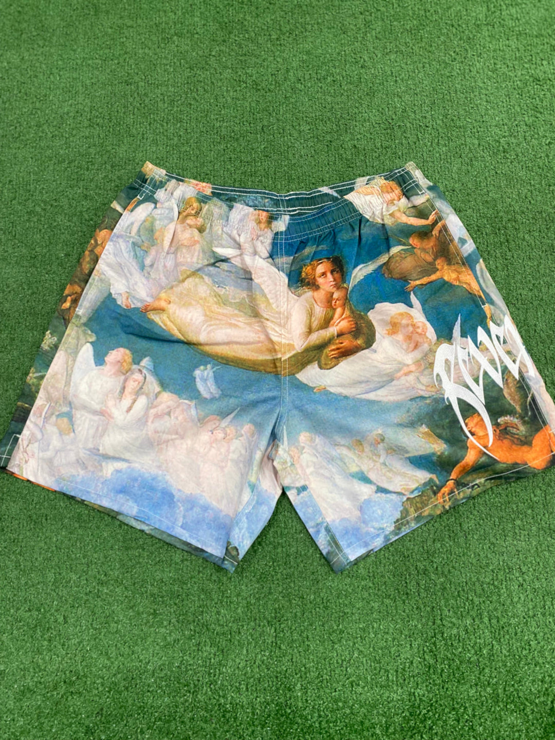 Revenge Angel Embroidered Shorts Multi