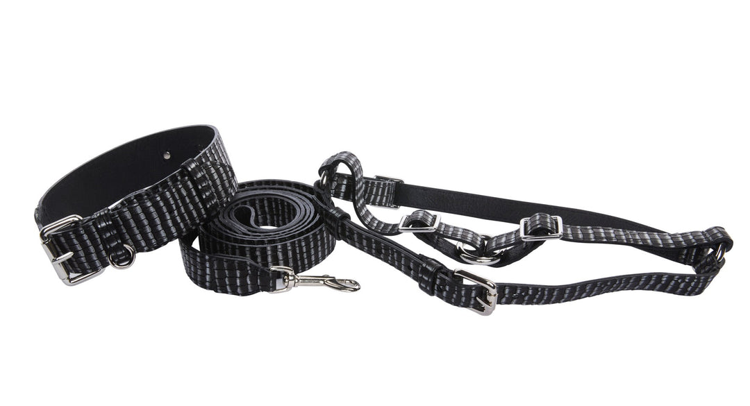 Black &amp; Silver Striped Italian Leather Classic Collar, Leash &amp; Harness Set With Silver Hardware
