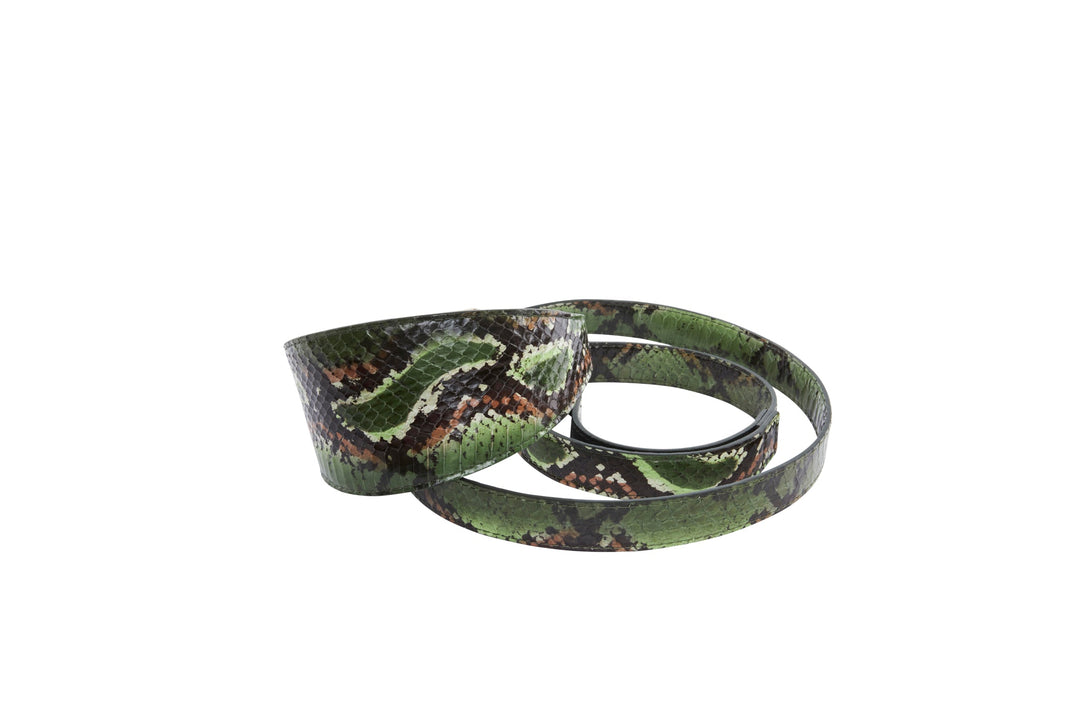 Multi Color Green Snake 3” Wide Style Collar &amp; Leash Set