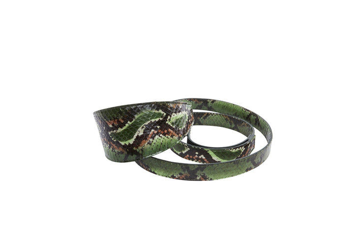 Multi Color Green Snake 3” Wide Style Collar &amp; Leash Set