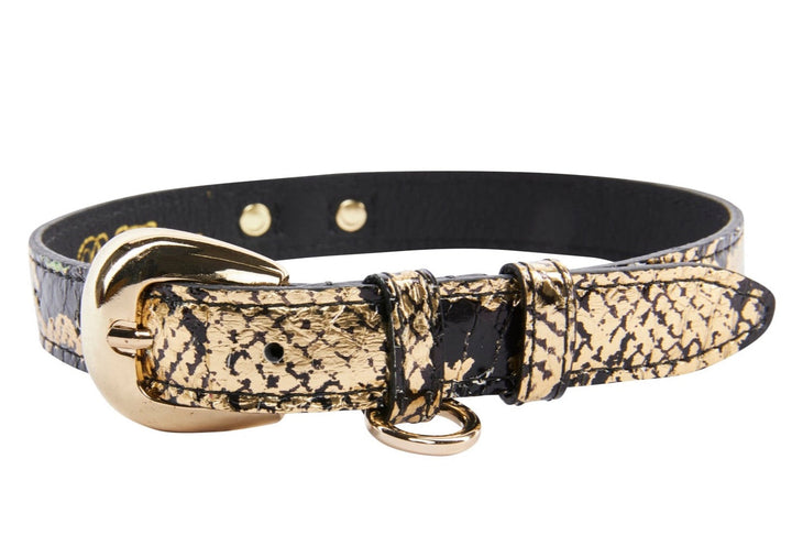 Gold &amp; Black Snake Collar With Oval Gold Hardware