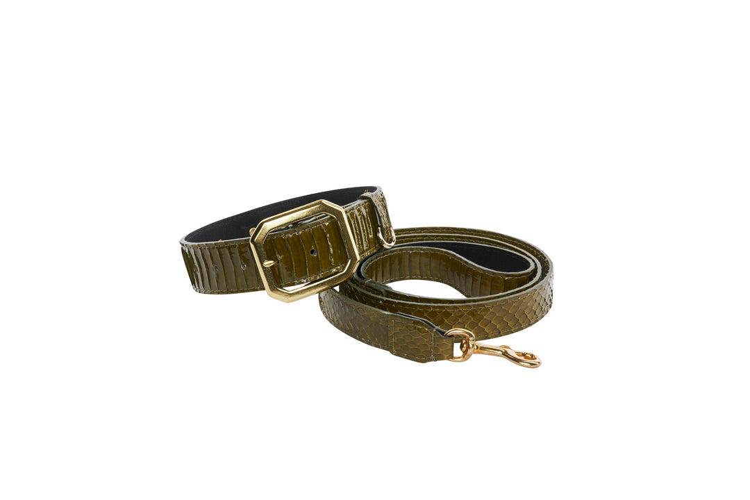 Olive Green Snake Collar &amp; Leash Set