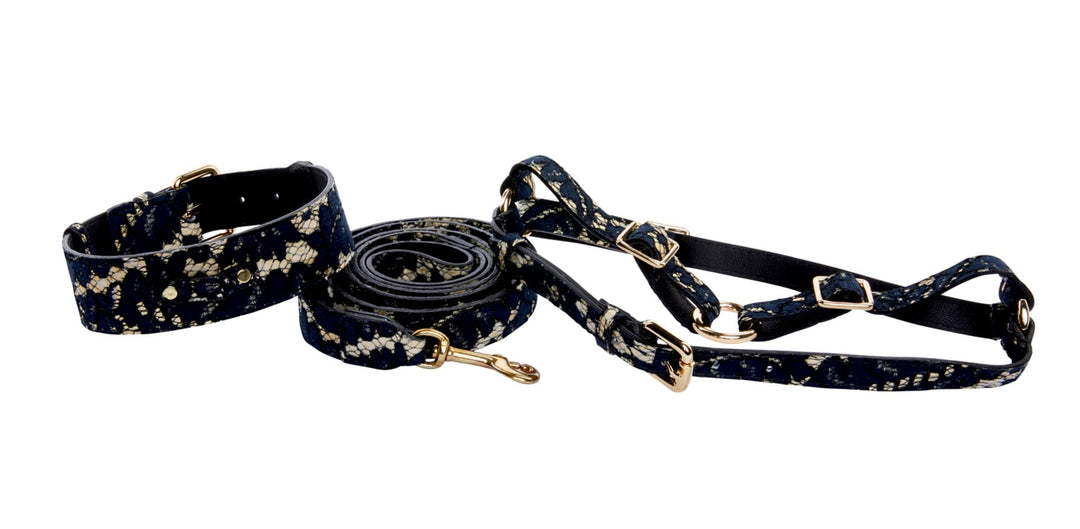 Dark Navy Lace On Gold Italian Leather Classic Collar, Leash &amp; Harness Set